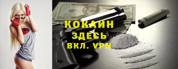 индика Алзамай