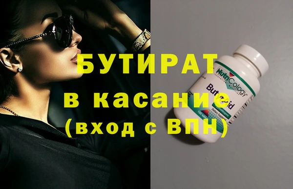 индика Алзамай