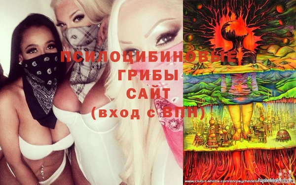 дживик Алексин
